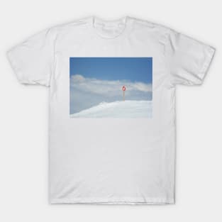 Down T-Shirt